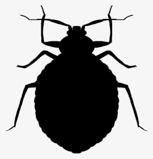 Clip Free Download Bug Away Pest Control - Bed Bug Png