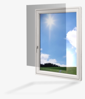 Tinted Films - Window