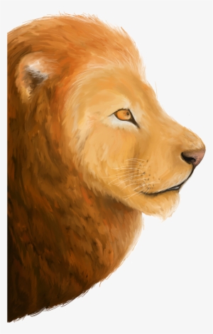 Thank You - Masai Lion