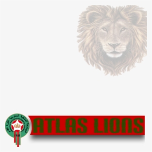 Morocco Clipart Lion - Moroccan National Team Lions
