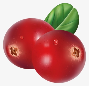 Cranberry Png