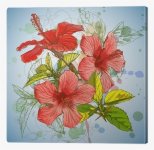 Hibiscus Flower & Watercolor Background, Stylized Orchid - Hibiscus Design Shower Curtain