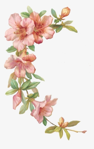 Pink Hibiscus Stationary And Journal Cards - Floral Theme Png