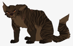 Cheeto - Cat With Broad Shoulders