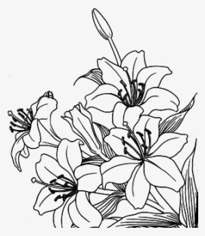 Flores Png Deviantart - Aesthetic Flower Art Transparent Background