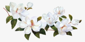 Flores Blancas Png - Bordes De Flores Blancas