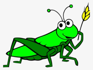 Clip Freeuse Download Grasshopper Clipart Cartoon - Grasshopper Clipart Png