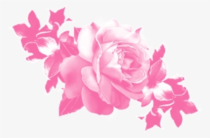 Photo Sharing And Video Hosting At Photobucket - Basilica Of Our Lady Of Guadalupe