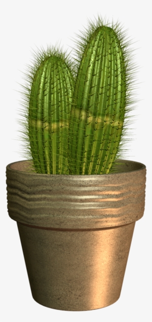 Garden Potplant - Portable Network Graphics