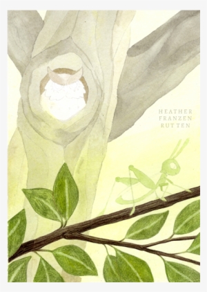 3) Leaves I Use Chromium Green Opaque ( - Watercolor Painting