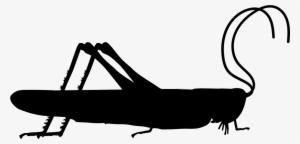 Grasshopper Insect Side View Shape Comments - Grasshopper Symbol