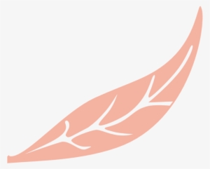 Durante Más De 46 Años, Los Eventos Realizados En La - Illustration