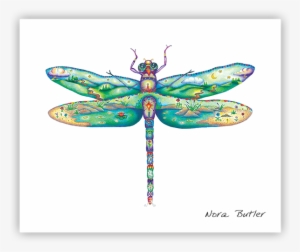 Damselfly Ii By Nora Butler - Damselflies