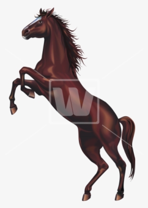 Wild Horse Png - Wild Horses Png