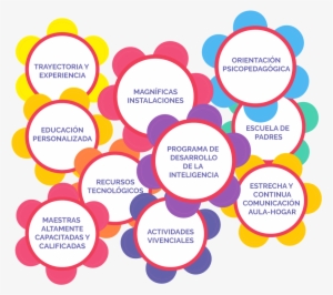 ¿por Qué Elegir Los Angelitos - Los Angeles Angels