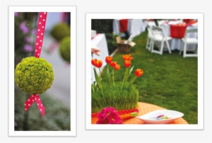 Flores Boda Detalle Verano - Pink And Orange Wedding
