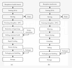 Processing Flowchart Of Cricket/grasshopper Dry Snacks - Cricket