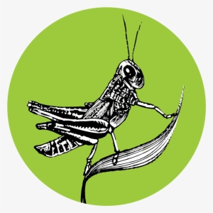 Image Is Not Available - Mail Icon