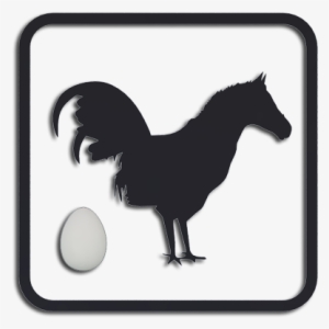 Horster Camera Control For Grasshopper - Horster Grasshopper