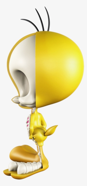 Xxray Looney Tunes Tweety Bird