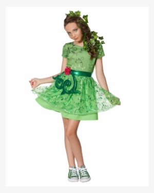 Rubie's Poison Ivy Adult Dress Halloween Costume - Poison Ivy Dc Superhero Girl Costume