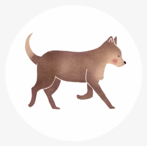 'jungle Book' Inspired Illustration Project For The - Red Fox