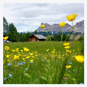 Small Thumb Sq V18 - Thumb