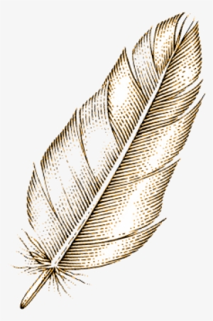 Featured Articles - Earrings