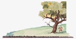 Sandro Akhmeteli Sandro Akhmeteli - Plane-tree Family