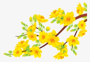 Check Out This @behance Project - Yellow Apricot Blossom Vector