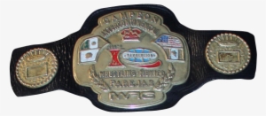 Iwrg Tag Title - Belt