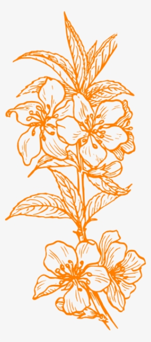 Almond Blossom Svg Clip Arts 264 X 596 Px