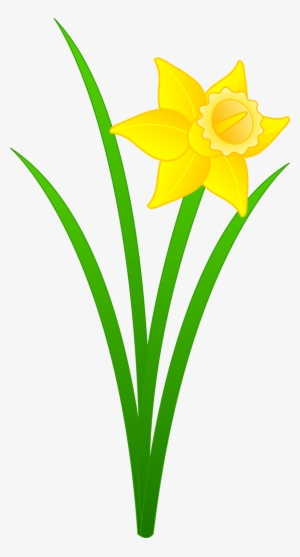 Daffodil Clipart Flower Blossom - Daffodil Clipart