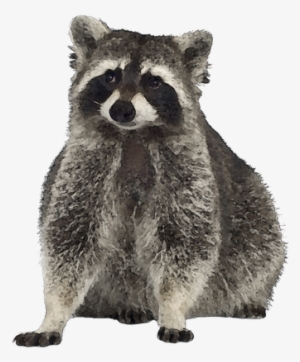 Clip Art Stock Blog Archives Mrs Watt S Class April - Free Clip Art Raccoon