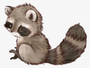 Cute Baby Raccoon Drawing