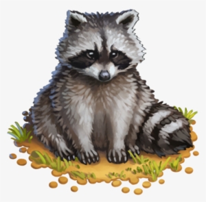 Denali National Park Update Faqs The Klondike Blog - Procyon