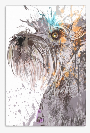 Schnauzer Canvas P005 - Schnauzer Portrait Art Hoodies Sweatshirts