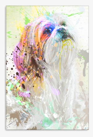 Shih Tzu Canvas P018 - Canvas