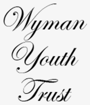 Wymanyouthtrustlogo - Pretty Little Liars: Team Ashley Twin Duvet