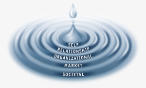 5 Waves Of Trust - Stephen Covey Waves Of Trust