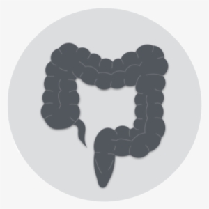 T Upf Crg Barcelona Icono Colon - Cancer De Colon Icono