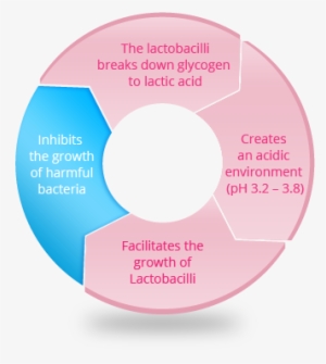 Lactacyd Vagina And Its Environment - Cd