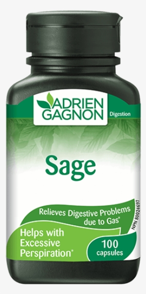 Adrien Gagnon Digest 365