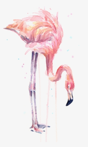 Vector Free Stock Illustration Watercolor Facing Left - Flamingo Painting Watercolor