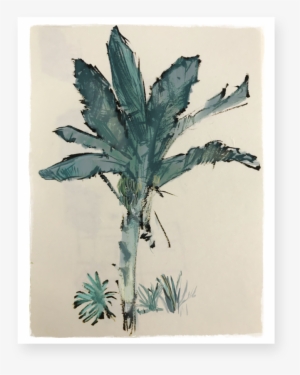 Banana Tree