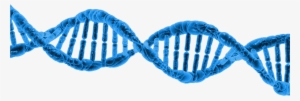 Dna String Double Helix - Missing Link: What It Means