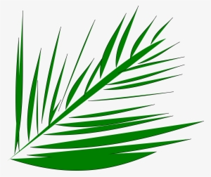 Big Image - Palm Leaves Transparent Clipart