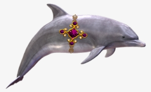 Where's The Dolphin Sticker Pack For Imessage Messages - Message