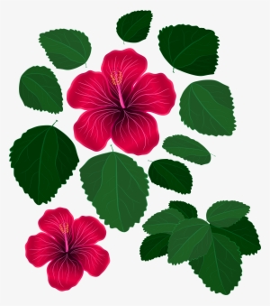 Svg Freeuse Library And Leaves For Decorations Transparent - Flowers And Leaves Png