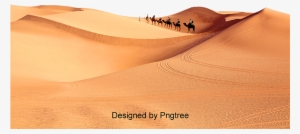 The Camel In The Desert, Camel, Desert, Free Matting - Camel